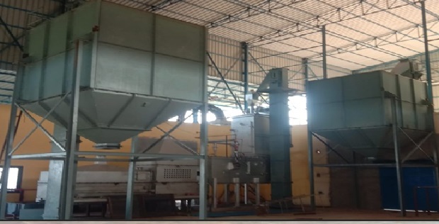 Lakshmi Shell -India